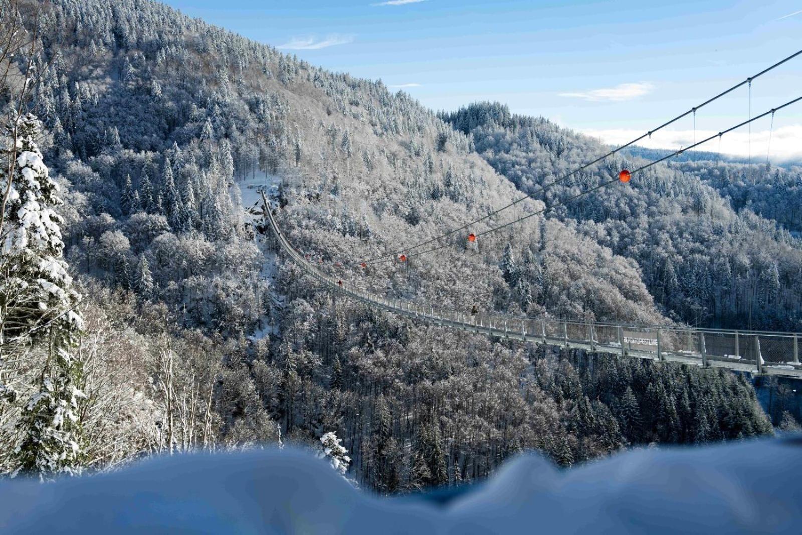 Black Forest Hotel Todtnau Bagian luar foto
