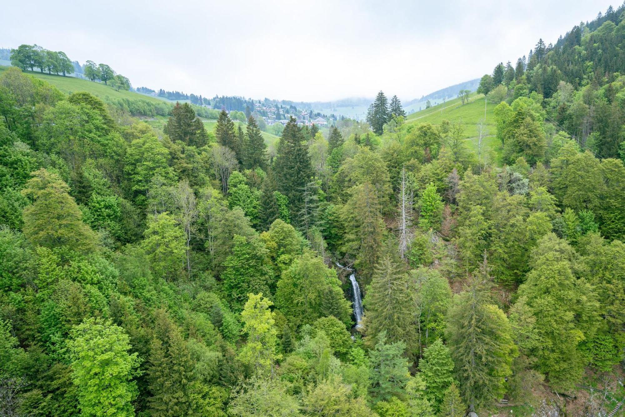 Black Forest Hotel Todtnau Bagian luar foto